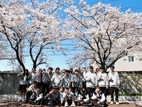 2026학년도 벚꽃